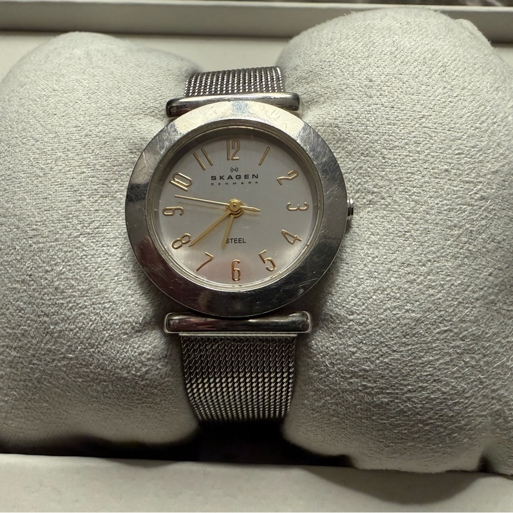 Skagen Steel Watch with Silver Mesh Band
